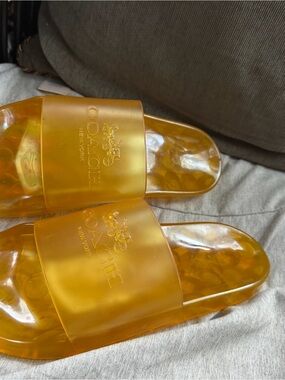 Coach Amber Transparent Slide Sandals